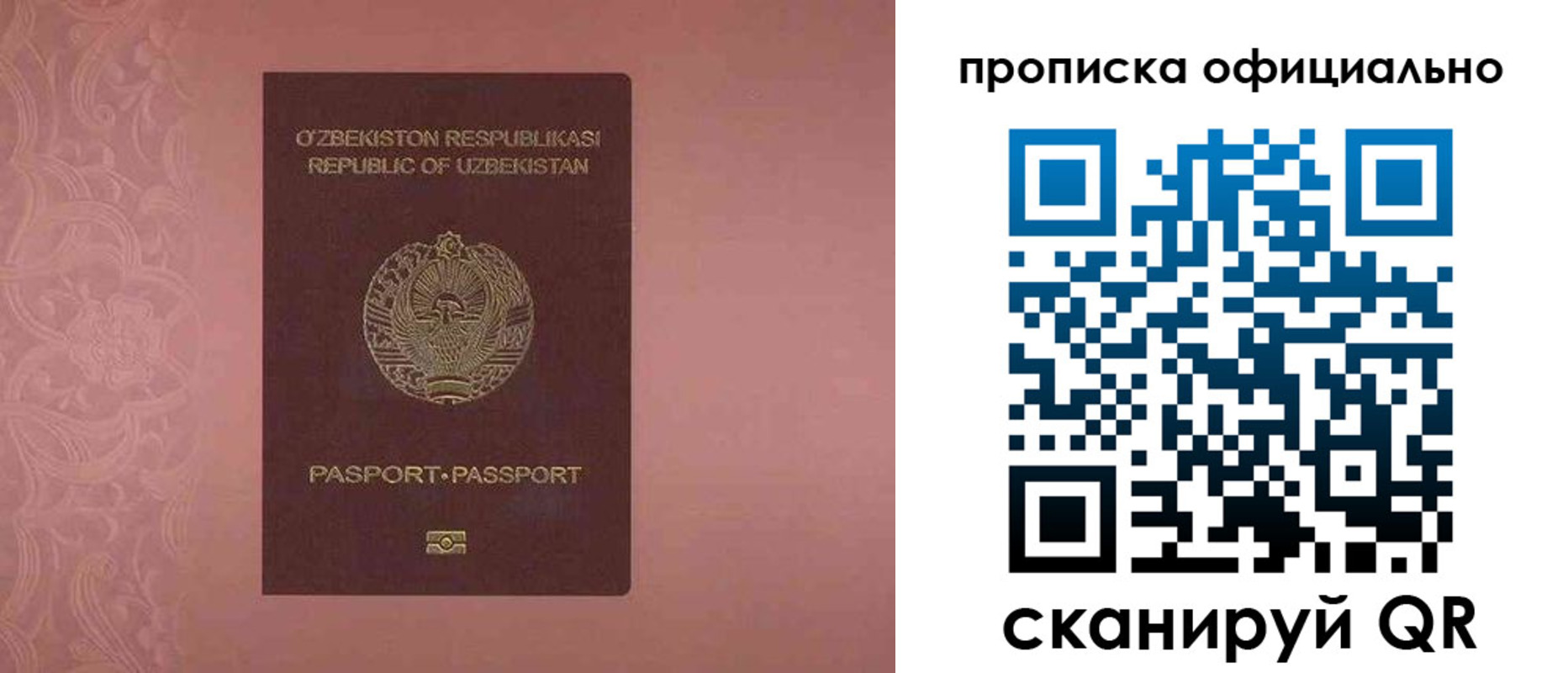 прописка гарантия в Домодедово
